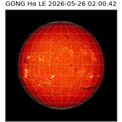 gong - 2026-05-26T02:00:42