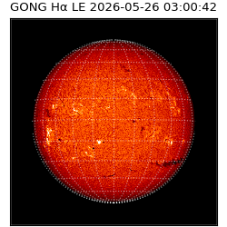 gong - 2026-05-26T03:00:42
