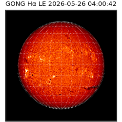 gong - 2026-05-26T04:00:42