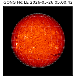 gong - 2026-05-26T05:00:42