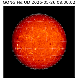 gong - 2026-05-26T08:00:02