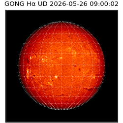 gong - 2026-05-26T09:00:02