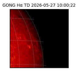 gong - 2026-05-27T10:00:22