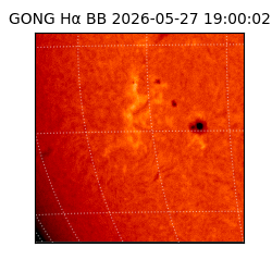 gong - 2026-05-27T19:00:02