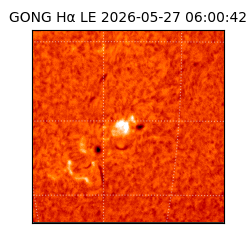 gong - 2026-05-27T06:00:42