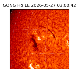 gong - 2026-05-27T03:00:42