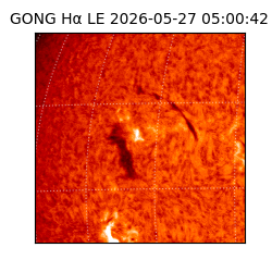 gong - 2026-05-27T05:00:42