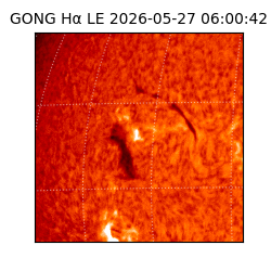 gong - 2026-05-27T06:00:42