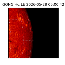 gong - 2026-05-28T05:00:42
