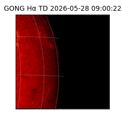 gong - 2026-05-28T09:00:22