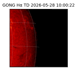 gong - 2026-05-28T10:00:22