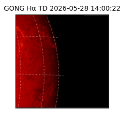 gong - 2026-05-28T14:00:22
