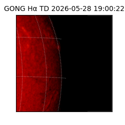 gong - 2026-05-28T19:00:22