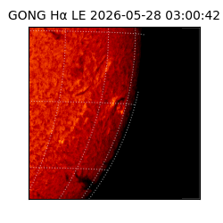 gong - 2026-05-28T03:00:42