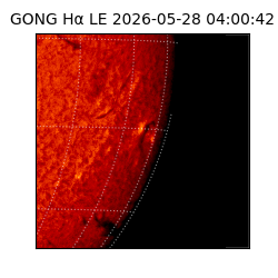 gong - 2026-05-28T04:00:42