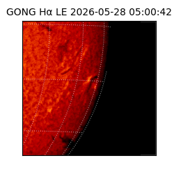 gong - 2026-05-28T05:00:42
