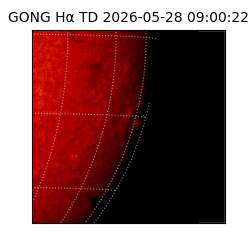 gong - 2026-05-28T09:00:22