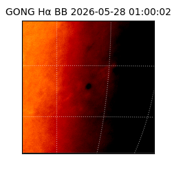 gong - 2026-05-28T01:00:02