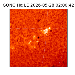 gong - 2026-05-28T02:00:42