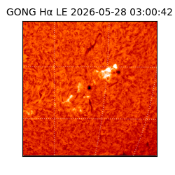 gong - 2026-05-28T03:00:42