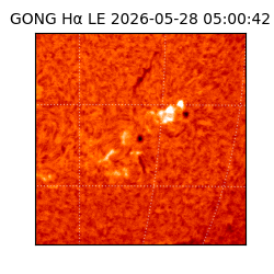 gong - 2026-05-28T05:00:42