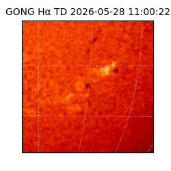 gong - 2026-05-28T11:00:22