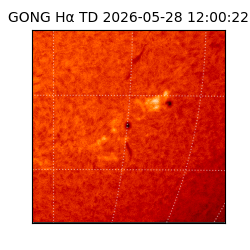 gong - 2026-05-28T12:00:22