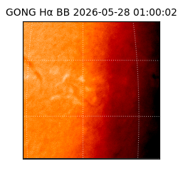 gong - 2026-05-28T01:00:02