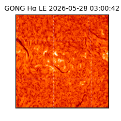 gong - 2026-05-28T03:00:42