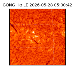 gong - 2026-05-28T05:00:42