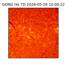 gong - 2026-05-28T10:00:22