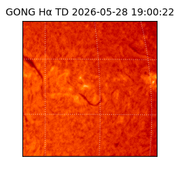 gong - 2026-05-28T19:00:22