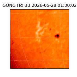 gong - 2026-05-28T01:00:02