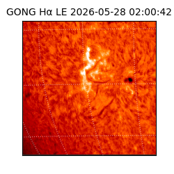 gong - 2026-05-28T02:00:42