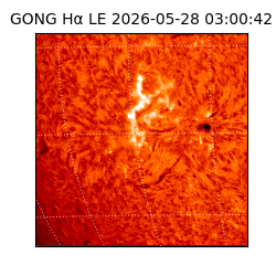 gong - 2026-05-28T03:00:42
