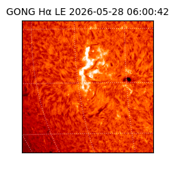 gong - 2026-05-28T06:00:42