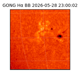 gong - 2026-05-28T23:00:02