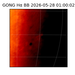 gong - 2026-05-28T01:00:02