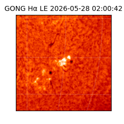 gong - 2026-05-28T02:00:42
