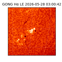 gong - 2026-05-28T03:00:42