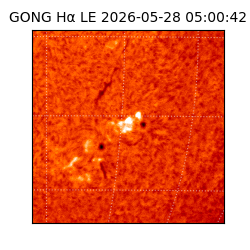 gong - 2026-05-28T05:00:42