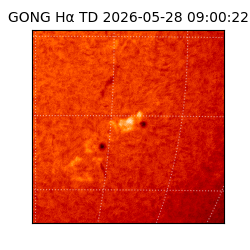 gong - 2026-05-28T09:00:22