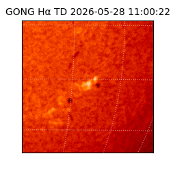 gong - 2026-05-28T11:00:22