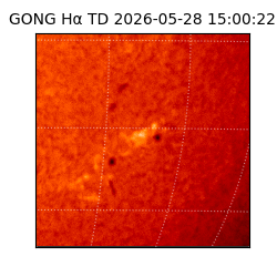 gong - 2026-05-28T15:00:22
