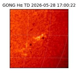gong - 2026-05-28T17:00:22