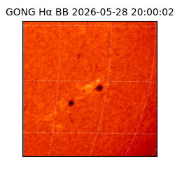 gong - 2026-05-28T20:00:02