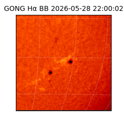 gong - 2026-05-28T22:00:02
