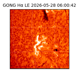 gong - 2026-05-28T06:00:42
