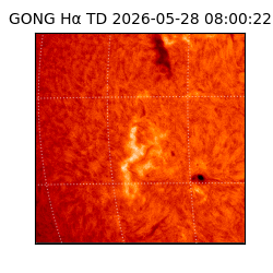 gong - 2026-05-28T08:00:22