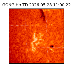 gong - 2026-05-28T11:00:22